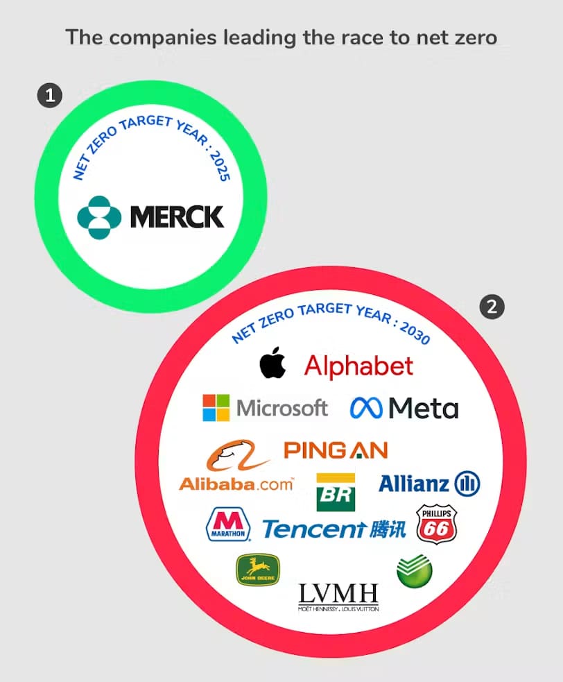 The companies leading the race to net zero